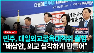 민주,대일외교굴욕대책위 출범... "배상해결책, 문제 더 심각하게 만드는 시발(점)"