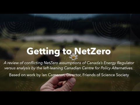 Wall Street Must Save the World from ESG and Climate Totalitarianism with a Net Zero 2030 Exit Plan