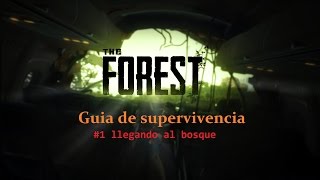 Vdeo The Forest