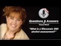 What is an OWI alcohol assessment.