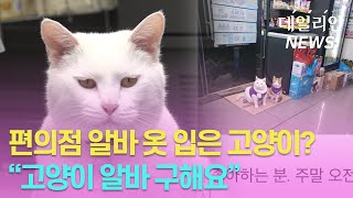 [이슈Pick] "길 고양이?… 이젠 동네 편의점 스타냥이라옹~"