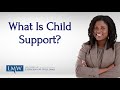 If you need assistance in establishing child support, we can help you explore your legal options. Maryland Child Support Attorney, LaSheena Williams, discusses what happens when your co-parent fails to pay child support in Maryland.