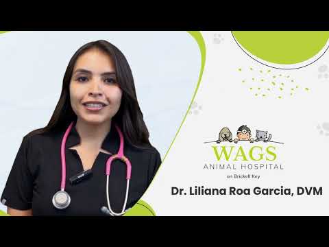 Wags Animal Hospital Veterinarian, Dr. Liliana Roa Garcia, Completes Advanced Soft-Tissue and Oncology Surgery Training
